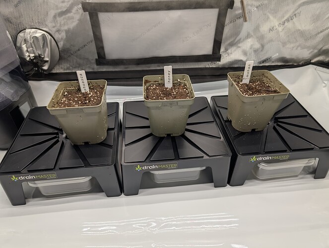 Growreport Bild 10