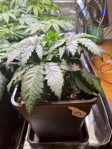 Growreport Bild 21
