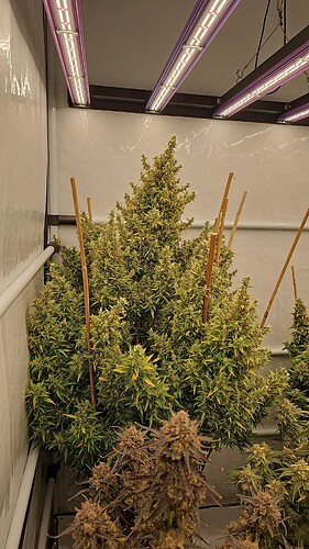 threema-20230220-113353148