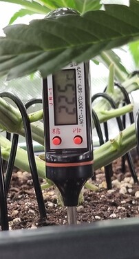 Growreport Bild 5