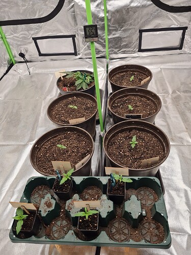 WhatsApp Bild 2024-05-07 um 07.24.33_7c70c8a6