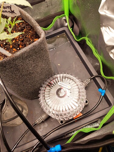 Growreport Bild 1