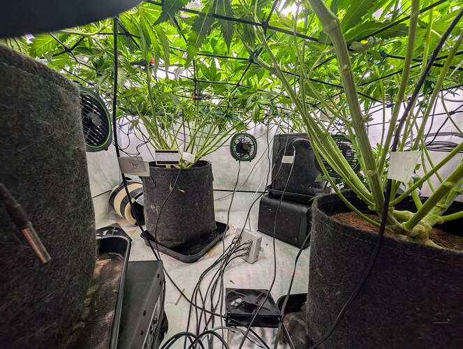 photo_2025-11-15_12-46-56