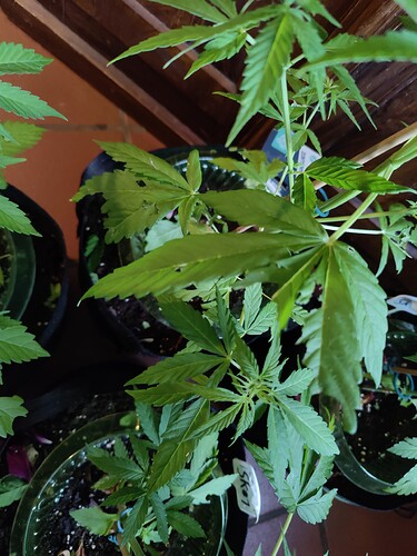 Growreport Bild 21