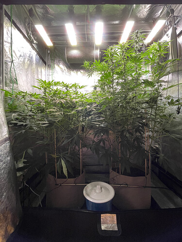 Growreport Bild 7