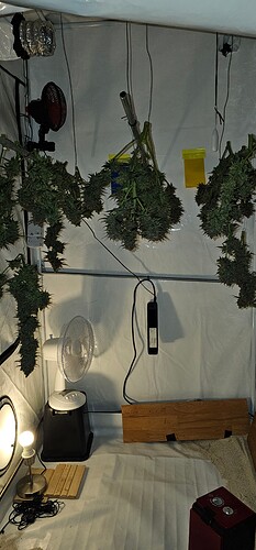 Growreport Bild 75