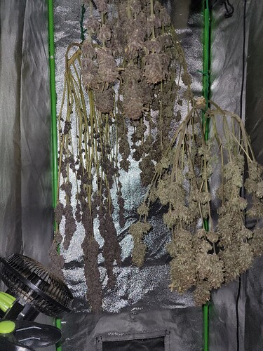 Growreport Bild 6
