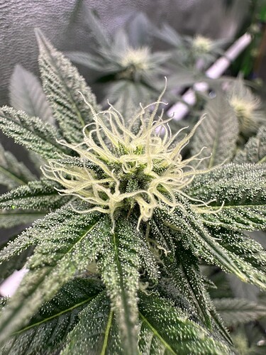 Growreport Bild 18