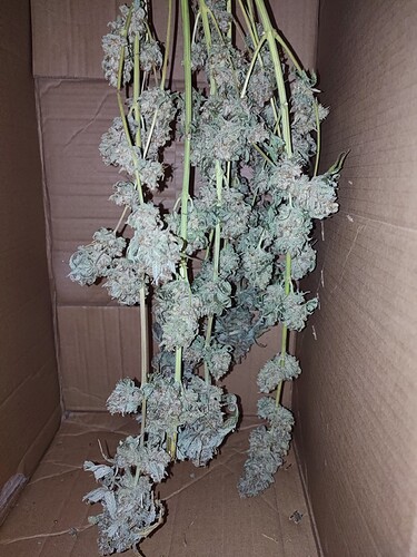 Growreport Bild 7