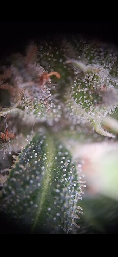 Screenshot_20240618_182206_Gallery