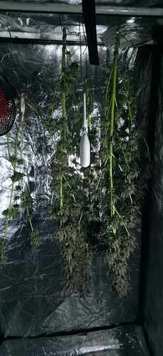 Growreport Bild 84