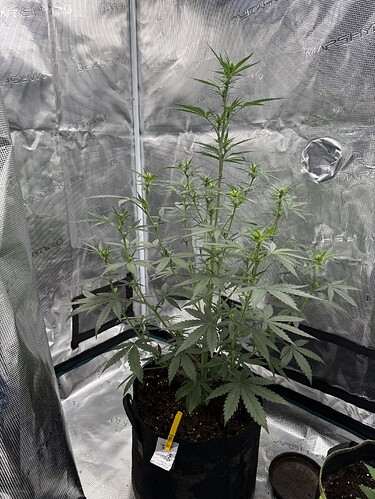 Growreport Bild 6