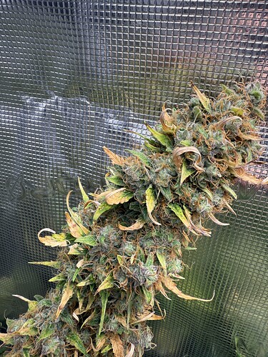 Growreport Bild 15