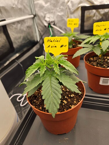 Growreport Bild 40