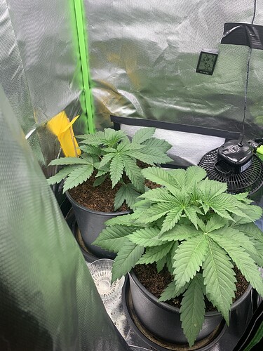 Growreport Bild 2