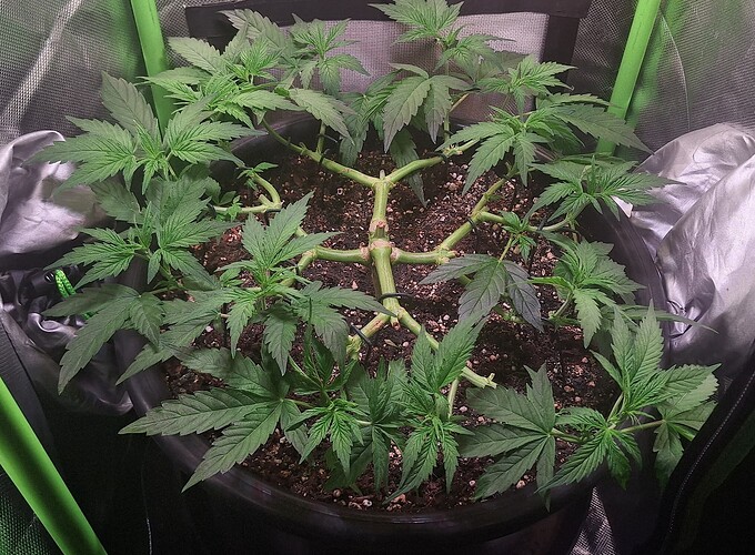 Growreport Bild 8