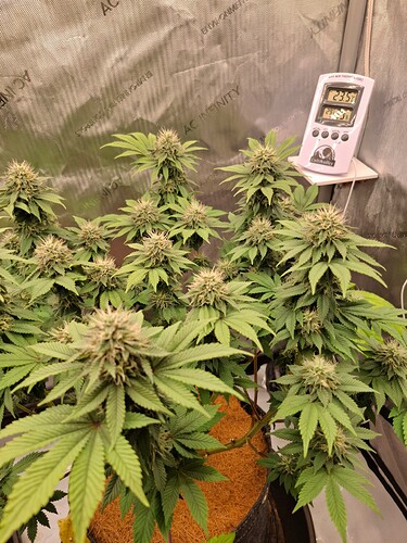 Growreport Bild 6