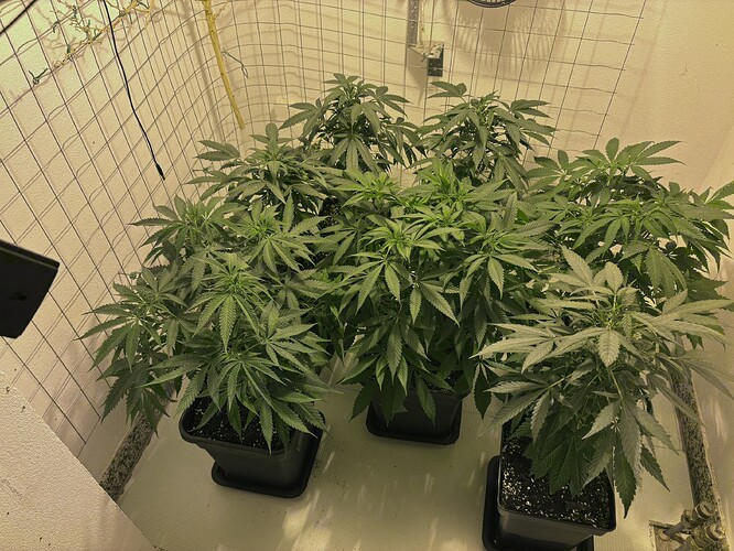 Growreport Bild 8