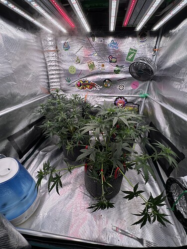 Growreport Bild 2
