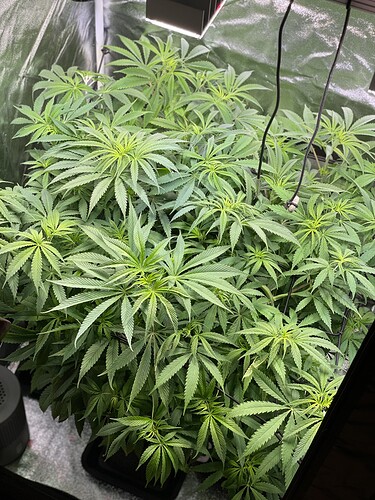 Growreport Bild 22