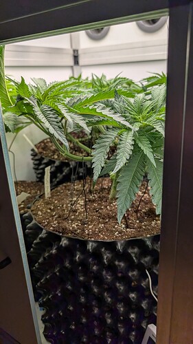 Growreport Bild 3