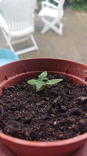 Growreport Bild 30