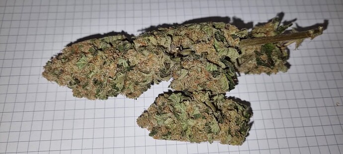 Growreport Bild 46