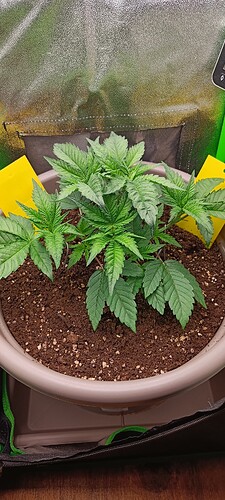 Growreport Bild 11