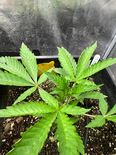 Growreport Bild 13
