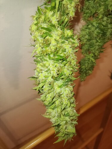 Growreport Bild 11