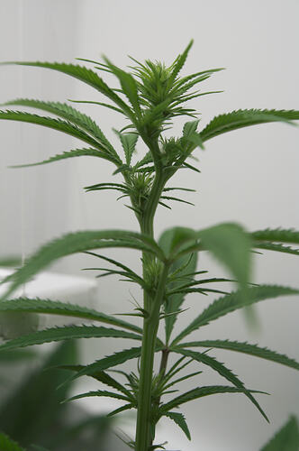 67 - GladiaIndoor