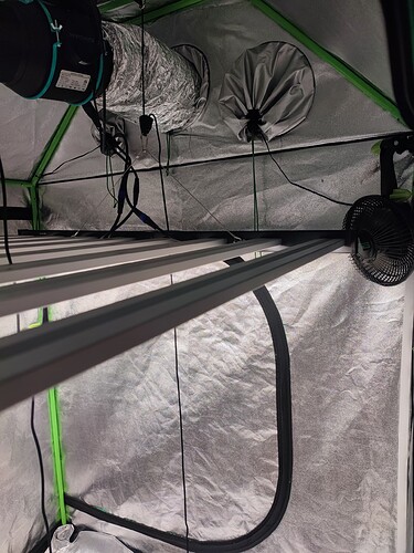 Growreport Bild 6