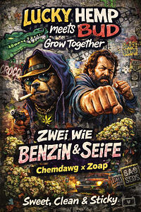 Zwei wie Benzin & Seife… Grow Together mit Lucky Hemp