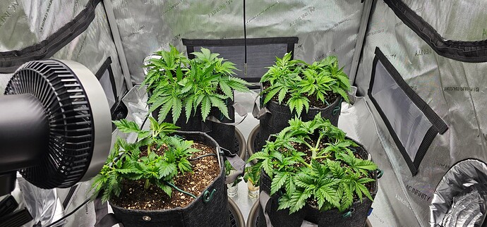 Growreport Bild 18