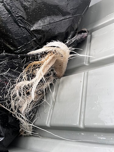 Growreport Bild 2
