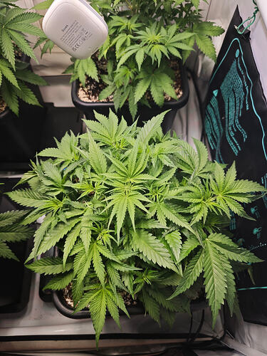 Growreport Bild 11