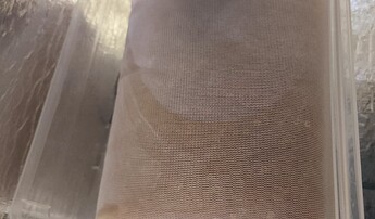 1000025330