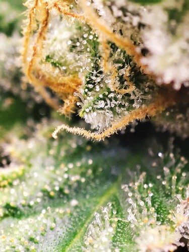 Growreport Bild 21