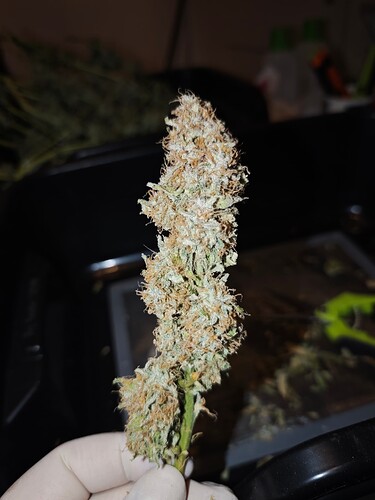 MVIMG_20251209_163919