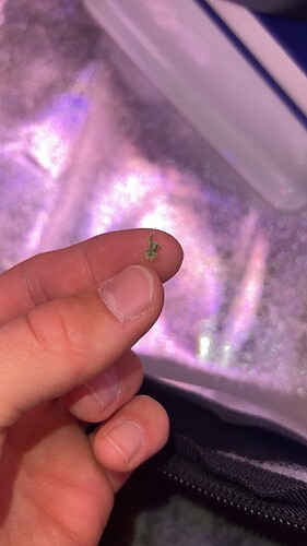 A8A0A976-7CED-44B9-BBFA-F0B5260EBC44