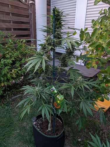 Growreport Bild 10