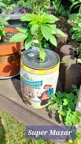 Growreport Bild 1