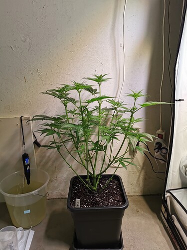 Growreport Bild 14