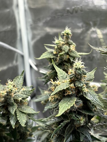 Growreport Bild 18