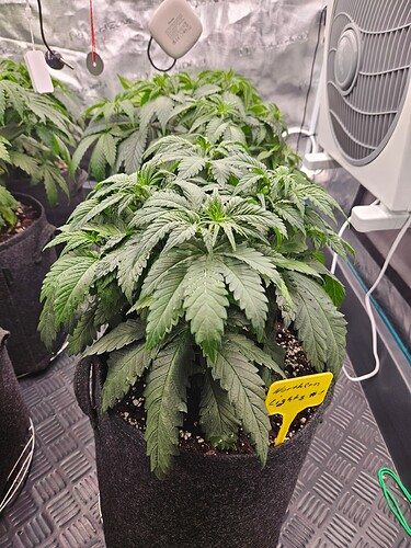 Growreport Bild 30