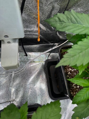 Growreport Bild 85