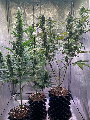 Growreport Bild 2