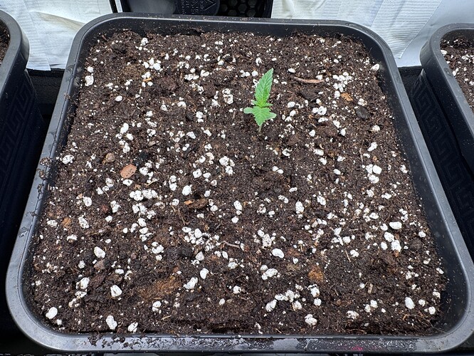 Growreport Bild 8