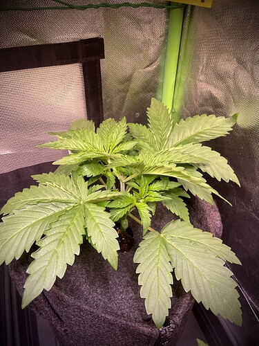 Growreport Bild 12