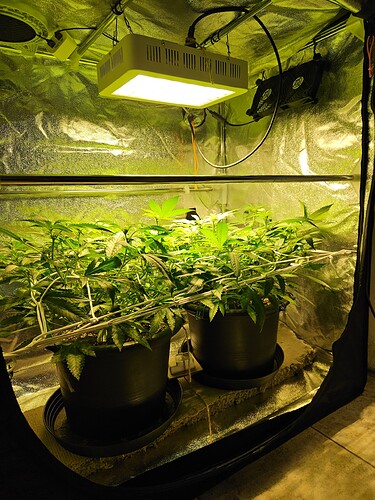 Growreport Bild 2